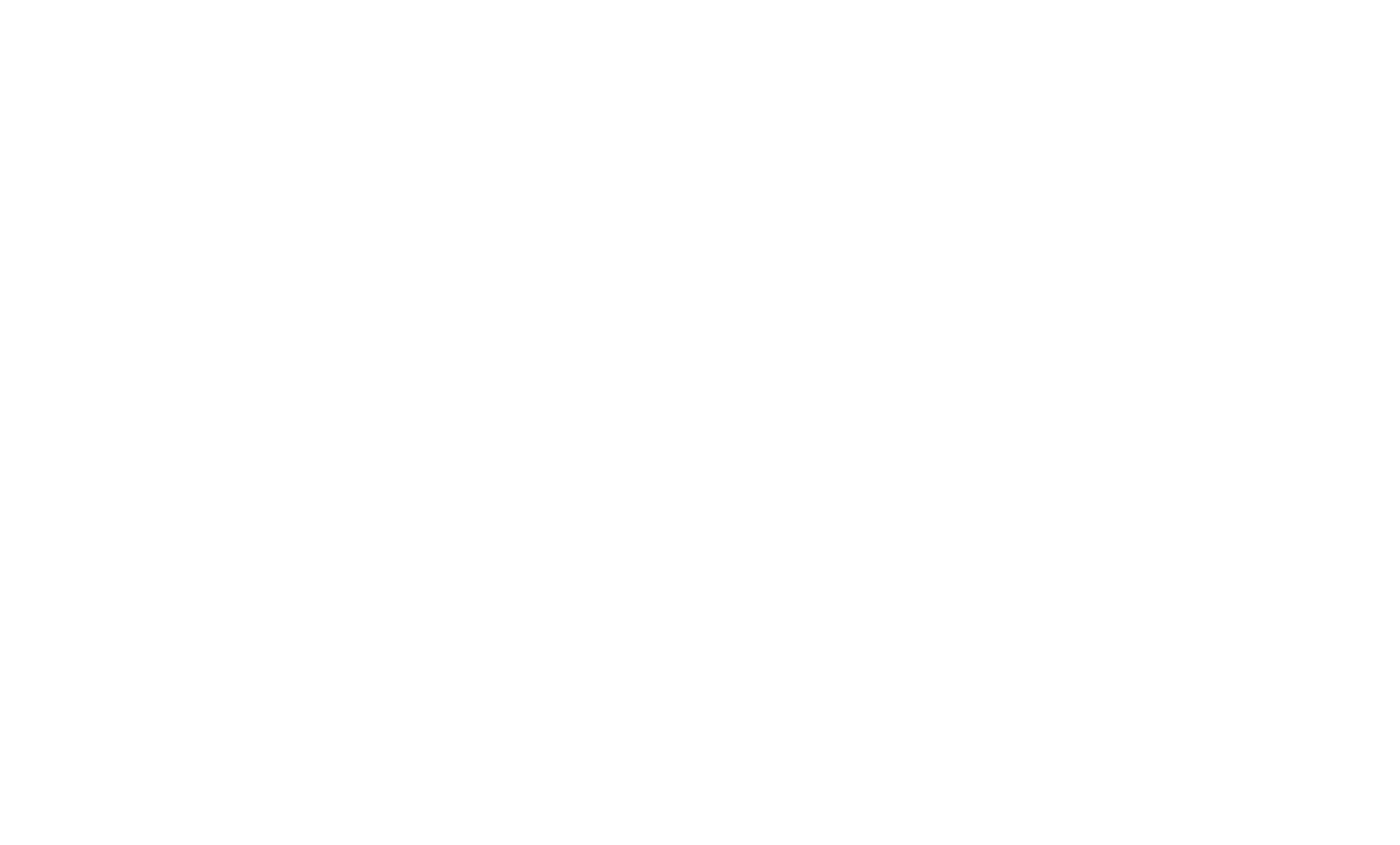 SMSNinja